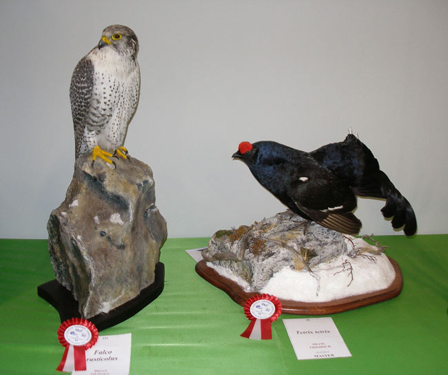 girfalco e forcello